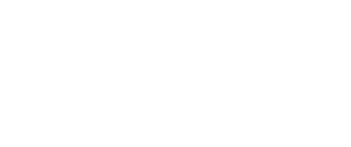 Logo SIM